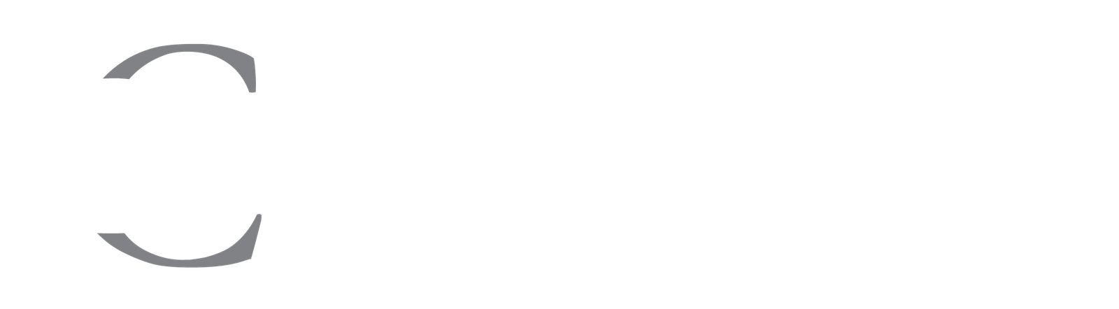 DIGAL Consulting